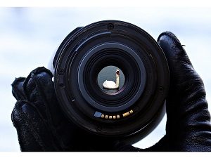 How To Sell Your Photos Online