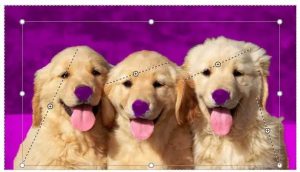 How to Remove an Image Background