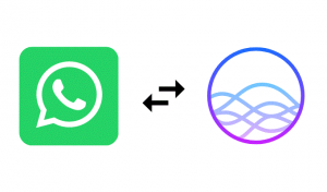 How To Make a WhatsApp Call Using Siri