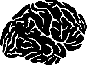 IBM Creates Brain That Works Like a Computer